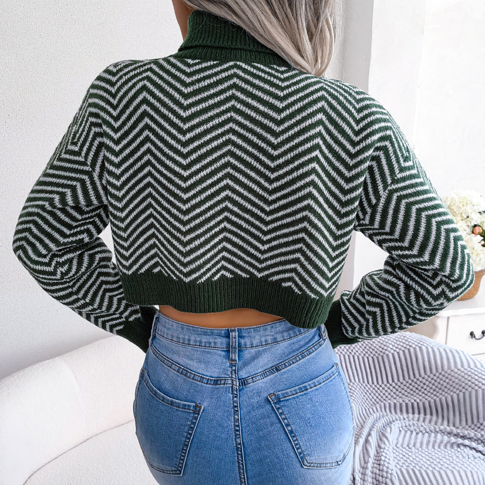 chevron ribbed turtleneck cropped sweater