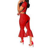 high neck short sleeve bow tie top flare pant set crop top