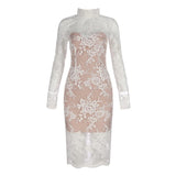see through mesh floral embroidery bodycon dress